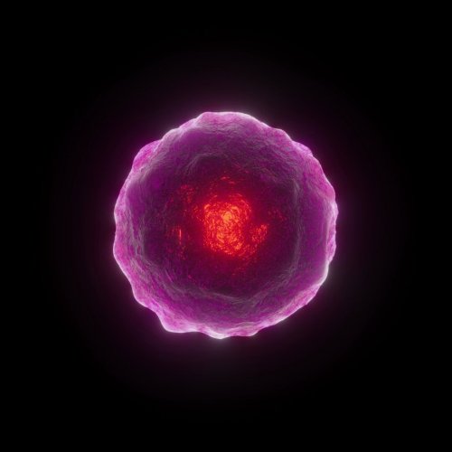 Eating Carrots in the Dark #20