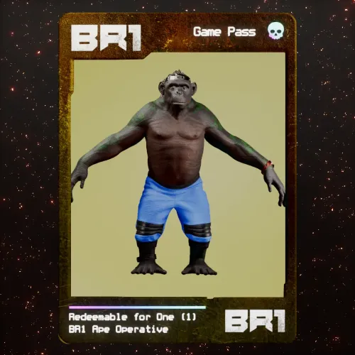 BR1 Character #959