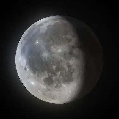 Waning Gibbous (#93324083)