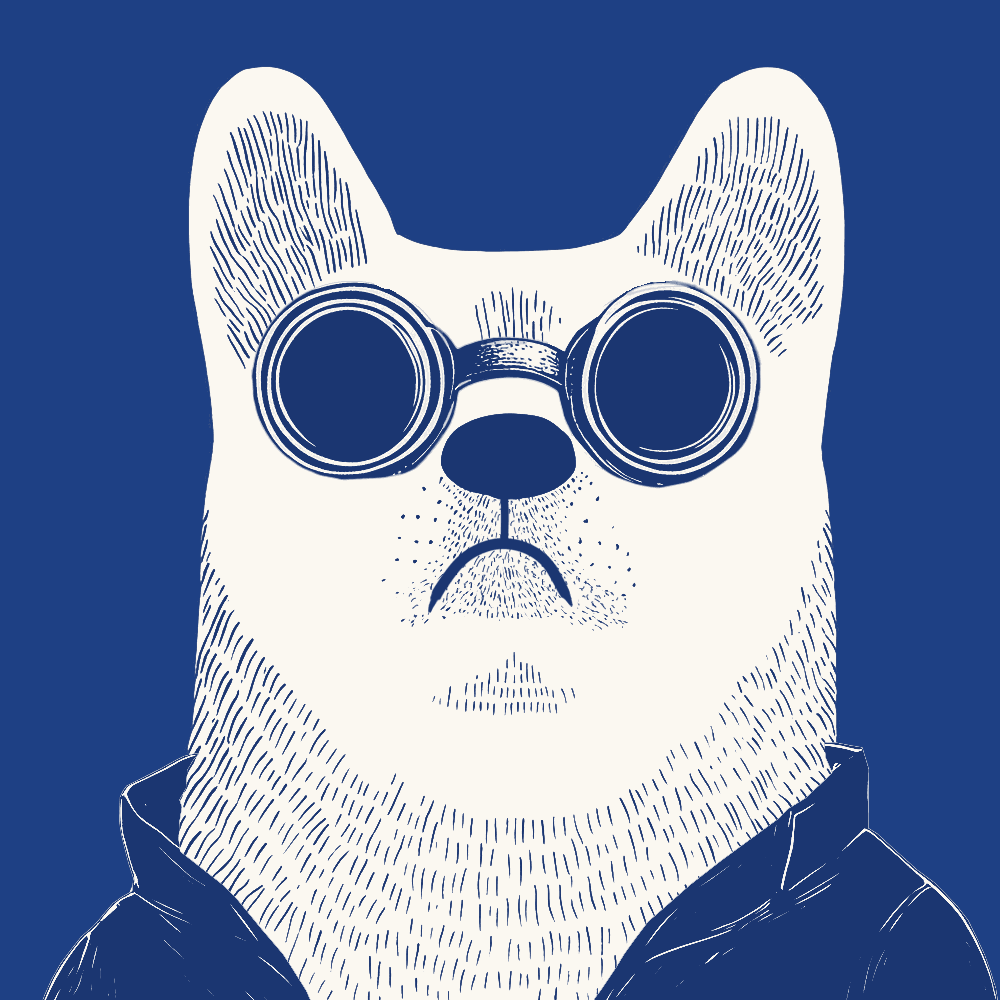 Zoolini - Akita #2573