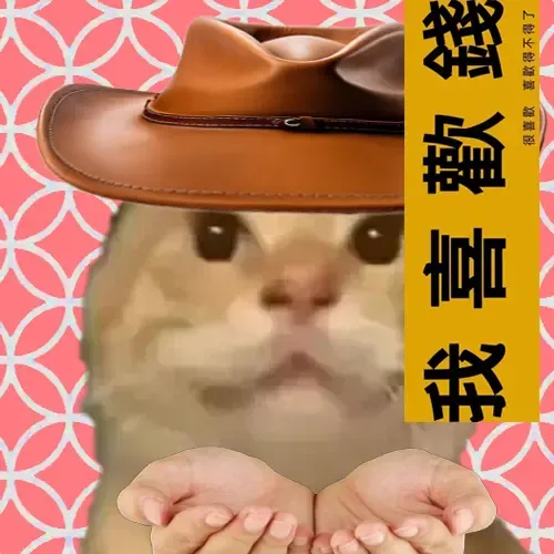 maodie the cat #1941