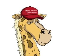 MAGA Giraffe