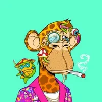 Ape Division #926