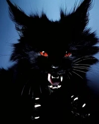 ANIMA
