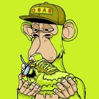Bored Ape Sneakers Club