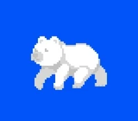 the bears