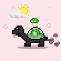 TURTLE ON APE