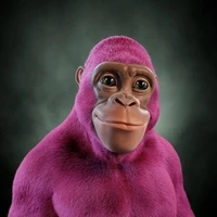 Absolute Kongs Club