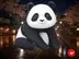 TDM Panda logo