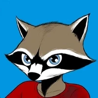 The Rocker Raccoons