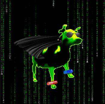Cancerous Cows