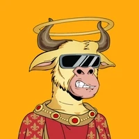 Bitcoin Bull Club