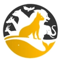 CryptoServalP2E #282