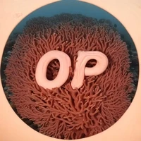 Coral Optimism