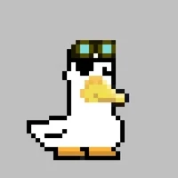 Raw Ducks