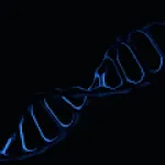 Gene Splicer