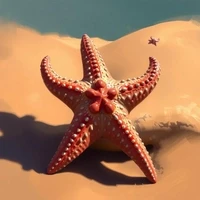 Starfish Season