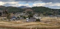 LANDSKAPE
