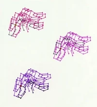 SkyMapProject II