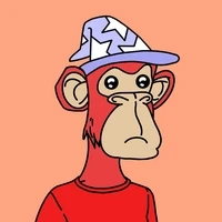 Doodle Ape Town