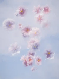 conditions for joy