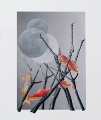 DREAMS