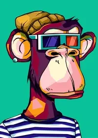 Pedram Monkey Car
