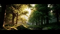 Gracewoven