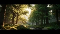 Harmony With Nature : Special Edition （Gracewoven NFT Collection）