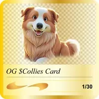 Collies First Edition