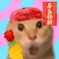 MAODIE THE CAT