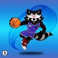 Based Raccoon