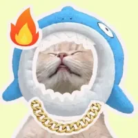 QIZAI CAT