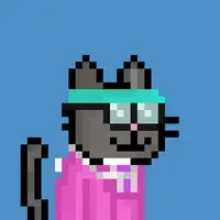Pixel Pussies