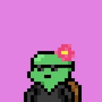 BabyTurtlesOnSol