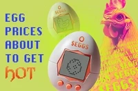 Chickens by $EGGS