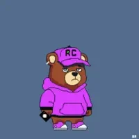 Recovery Bears