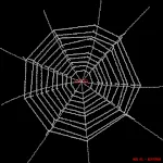 I Fucking Hate Spider Webs