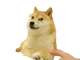 Swap BTC logo