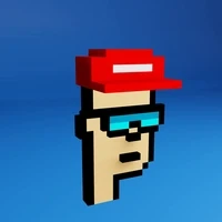 Based Voxel Punks