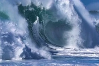 New Era Series Hawaii