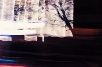 Woman Who Runs with Wild Wolves