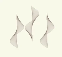 Unravelling: Void Attractors