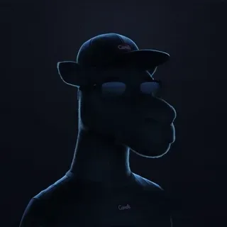 Camels3D #3372