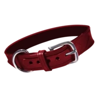 Illuvium Beyond Accessories