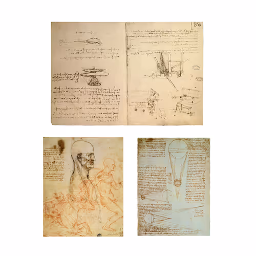 Leonardo da Vinci Visionary Studies #40