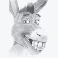 A Donkey  #162
