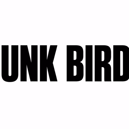 Punk Birds (V0) #389