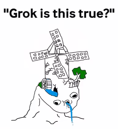 Grok is this True?