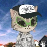 Ameowrican Kittizens